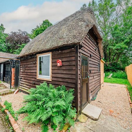Cozy Cottage With Hot Tub! Cadnam Εξωτερικό φωτογραφία